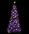 Christmas Tree Illuminated
