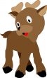 reindeer