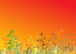 Abstract grass background
