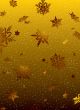 golden fall