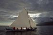 Sailing boats 5