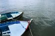 Boats moored