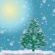 Fur-tree in a snow