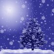 Fur-tree in a snow