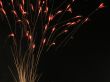Fireworks like grass stems