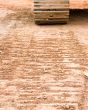 Tracks in dirt