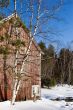 Red barn and birch