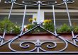 Black metal window grate