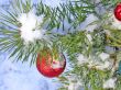 Christmas tree under snow