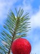 Christmas tree against blue sky