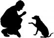 training the dog