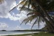 tropical beach