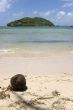 coconut on a beach