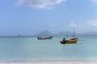 boats