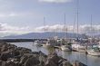 Yachts in Rocky Cove