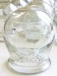 spider in the medical cupping glass