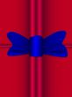 bow knot on the gift