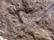 wet stone