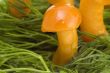 mushrooms