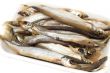 sprat