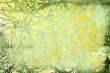 flower abstract textures and backgrounds