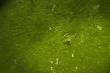 hi res grunge backgrounds