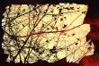 flower abstract textures and backgrounds