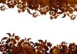 floral style backgrounds frame