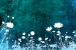 flower abstract textures and backgrounds