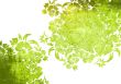 floral style backgrounds frame