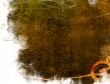 Great for textures and backgrounds