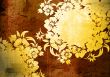 floral style backgrounds frame