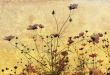 old-fashioned flower