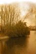old-fashioned landscape