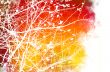 flower abstract textures and backgrounds
