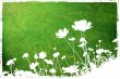 flower abstract textures and backgrounds