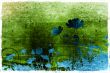 flower abstract textures and backgrounds