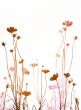flower abstract textures and backgrounds