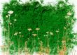 flower abstract textures and backgrounds