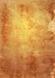 Detailed textured grunge background/frame