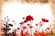 flower abstract textures and backgrounds