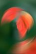 background_170-a