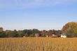 Old Farm