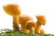 mushrooms family
