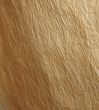 parchment