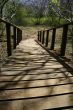 Wooden Bridge
