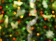holiday highlights