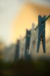 Clothes Peg
