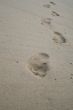 Footsteps On The Beach