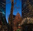 Christmas Tree at Rockefeller Center